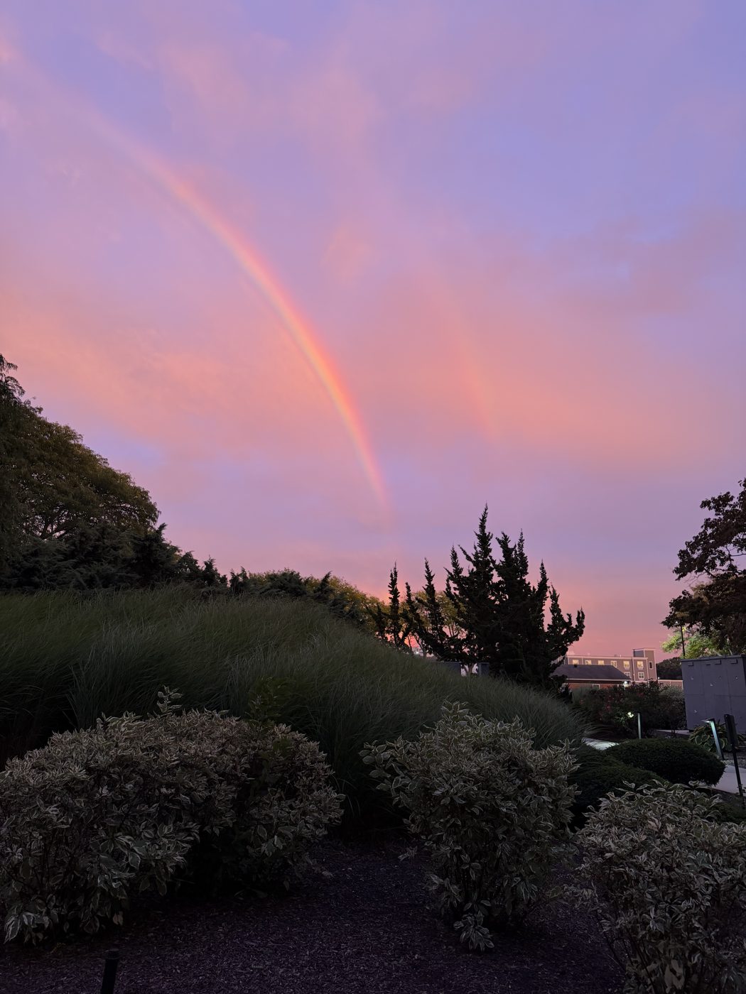 A double rainbow across a pink and purple sunset sky on Long Island